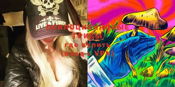 PSILOCYBIN Лиски