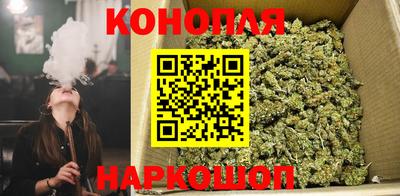 PSILOCYBIN Гусиноозёрск