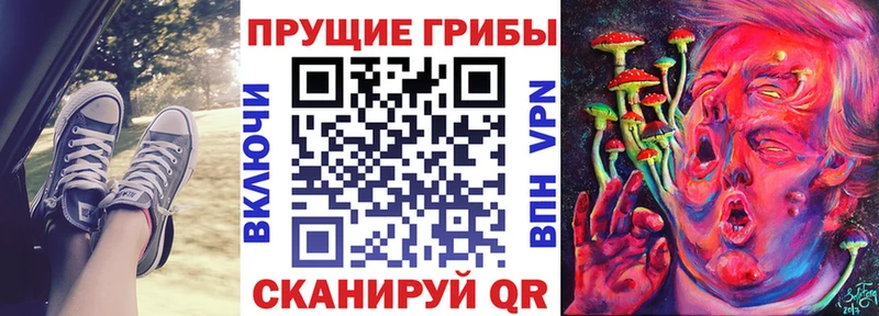 как найти закладки  Петровск  Псилоцибиновые грибы прущие грибы 