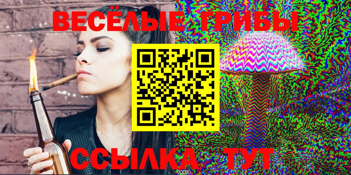 Псилоцибиновые грибы мицелий Петровск