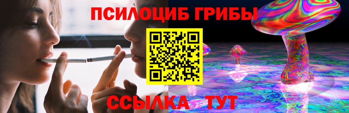 Петровск  Псилоцибиновые грибы Psilocybine cubensis  Вход с VPN 